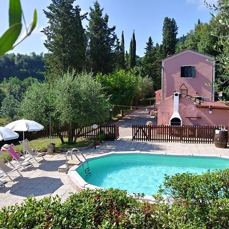 Podere Il Leccione Palaia Exteriör bild