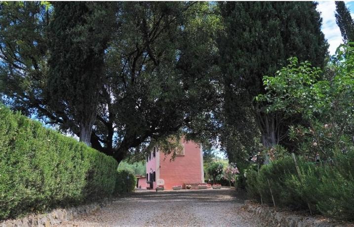 Podere Il Leccione Palaia Exteriör bild