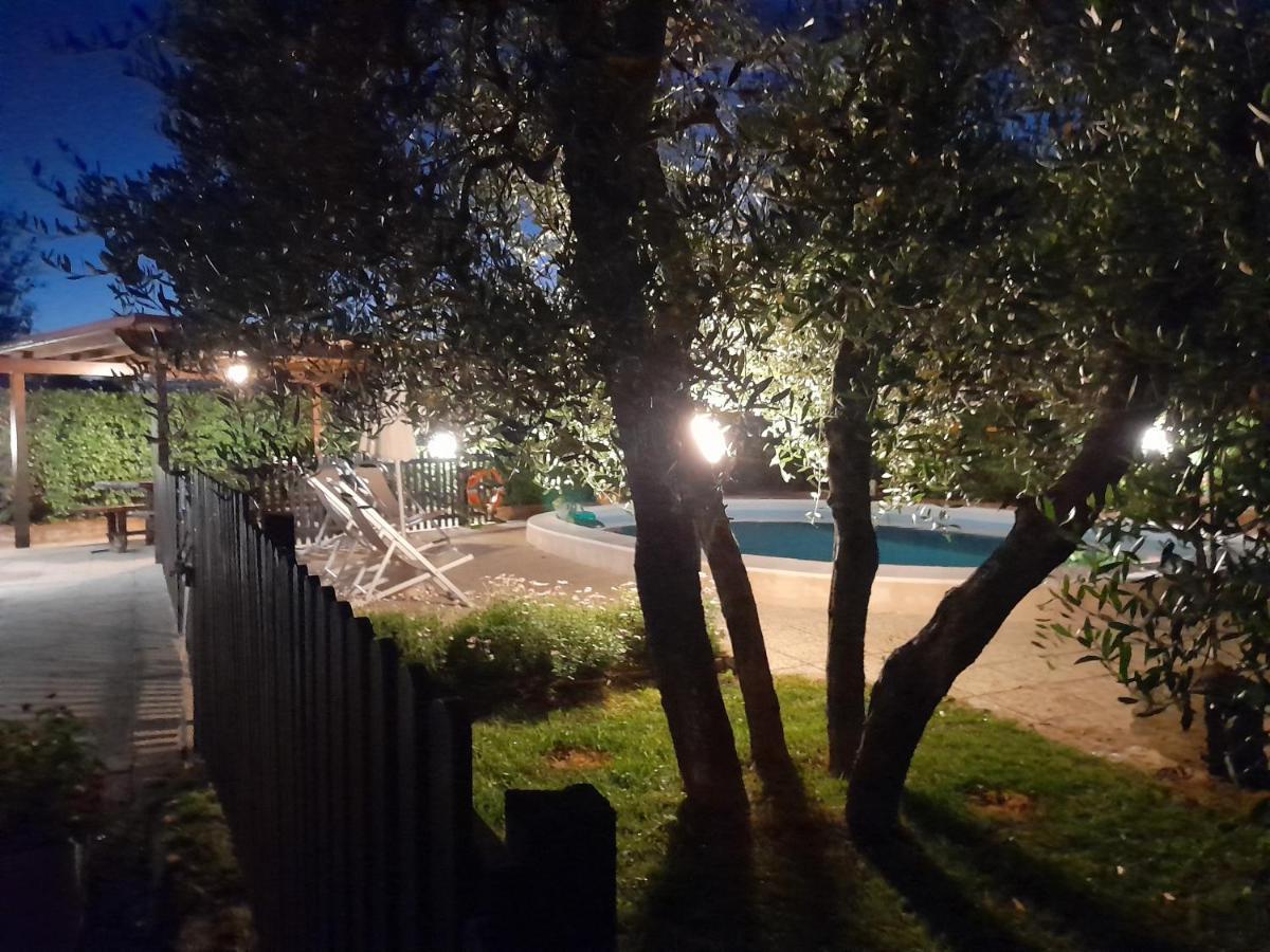 Podere Il Leccione Palaia Exteriör bild