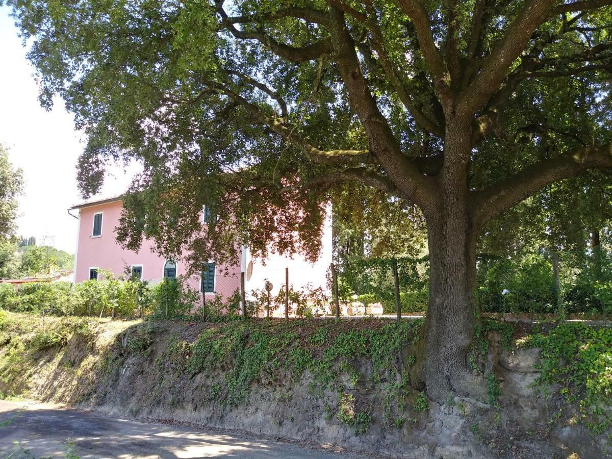 Podere Il Leccione Palaia Exteriör bild