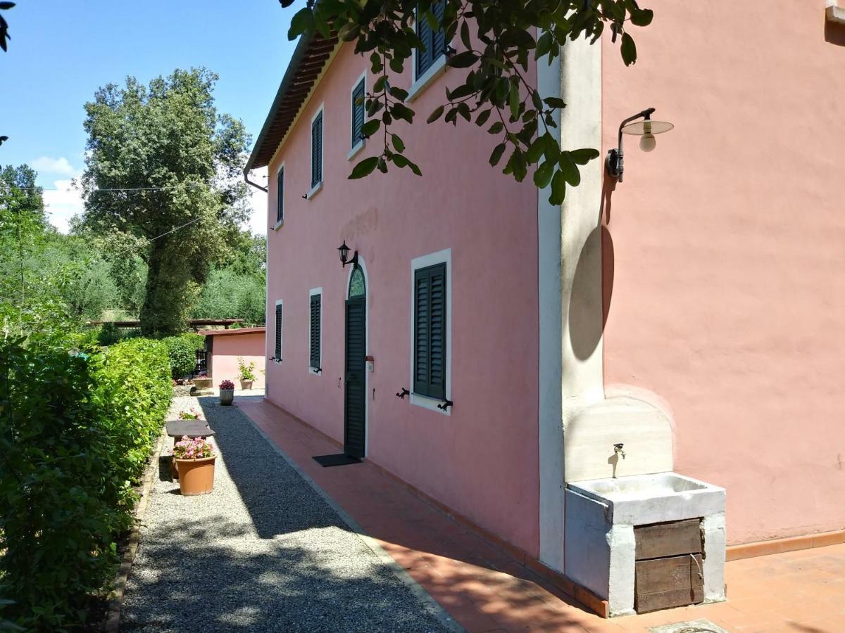Podere Il Leccione Palaia Exteriör bild